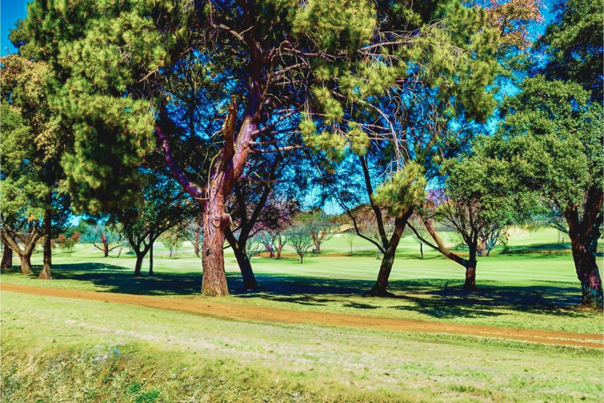Glendower View Guest House Edenvale Εξωτερικό φωτογραφία